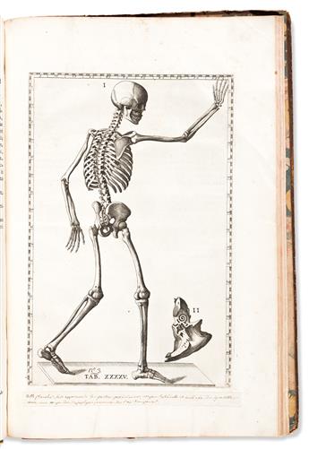 Eustachius, Bartolomeo (circa 1510-1574) Tabulae Anatomicae.